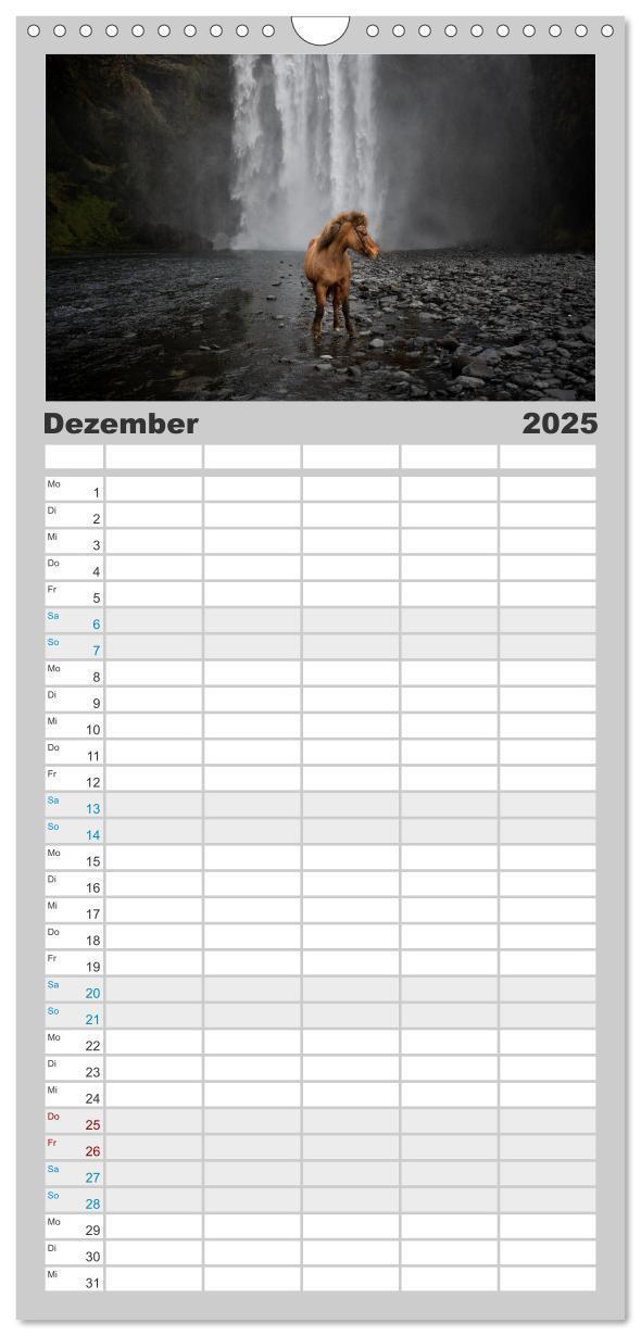 Bild: 9783457101568 | Familienplaner 2025 - Islandpferde Kalender - Pferde von der Insel...