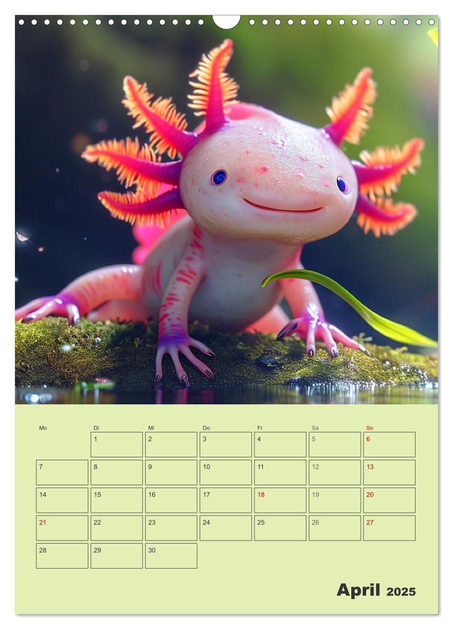 Bild: 9783383807671 | Axolotl. Lustiger Schwanzlurch mit Superkräften (Wandkalender 2025...