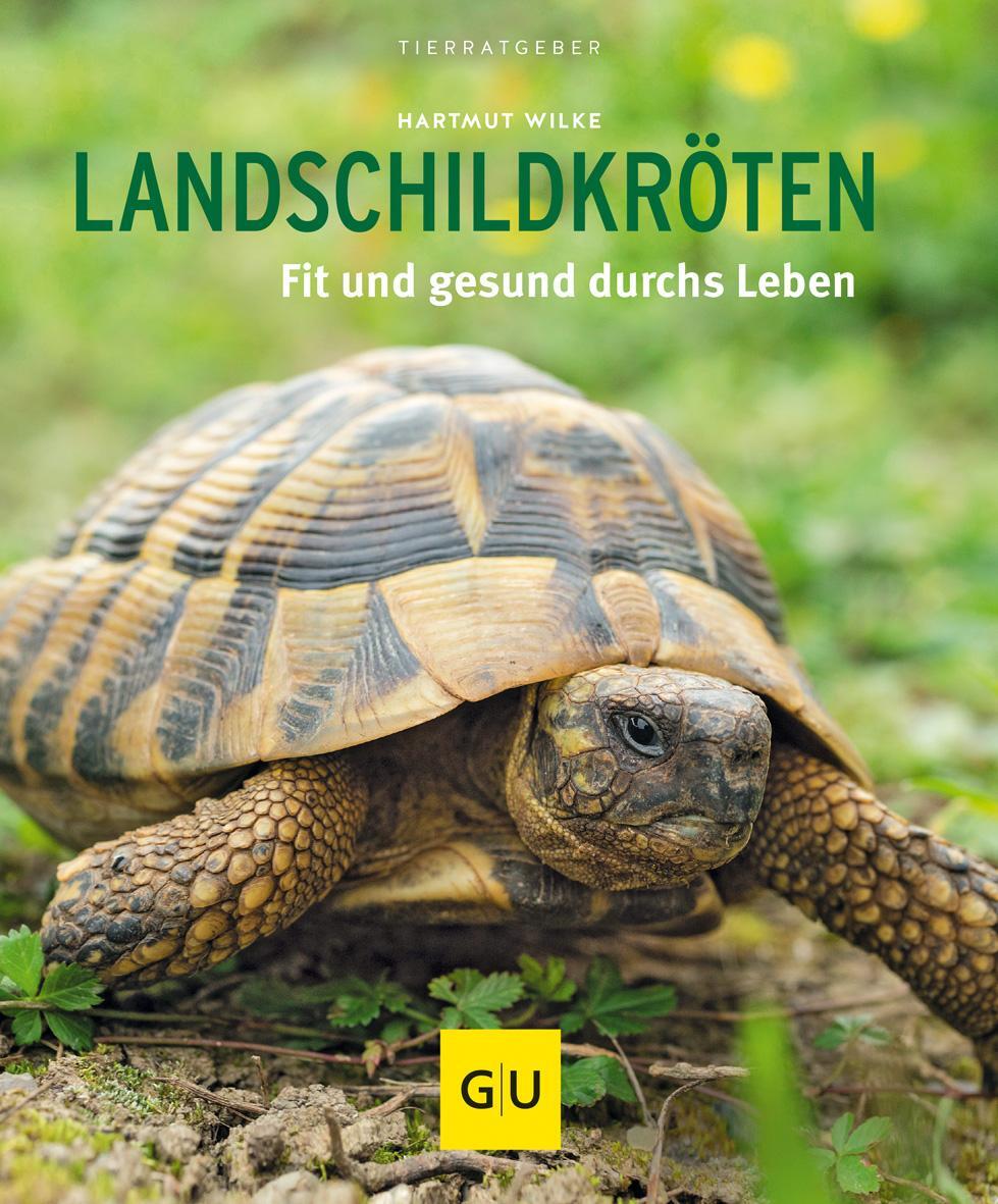 Cover: 9783833841484 | Landschildkröten | Fit und gesund durchs Leben | Hartmut Wilke | Buch