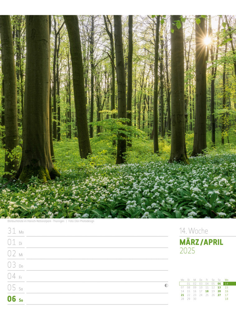 Bild: 9783838435275 | Abenteuer Deutschland - Naturparadiese Wochenplaner Kalender 2025