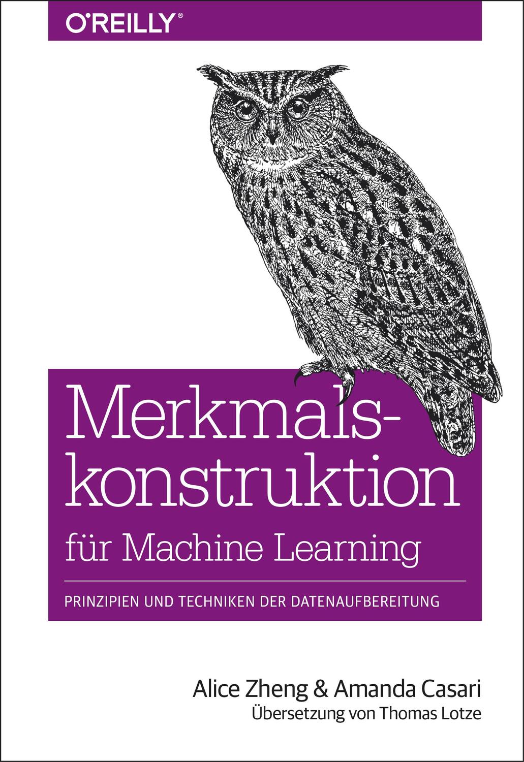 Cover: 9783960090939 | Merkmalskonstruktion für Machine Learning | Alice Zheng (u. a.) | Buch