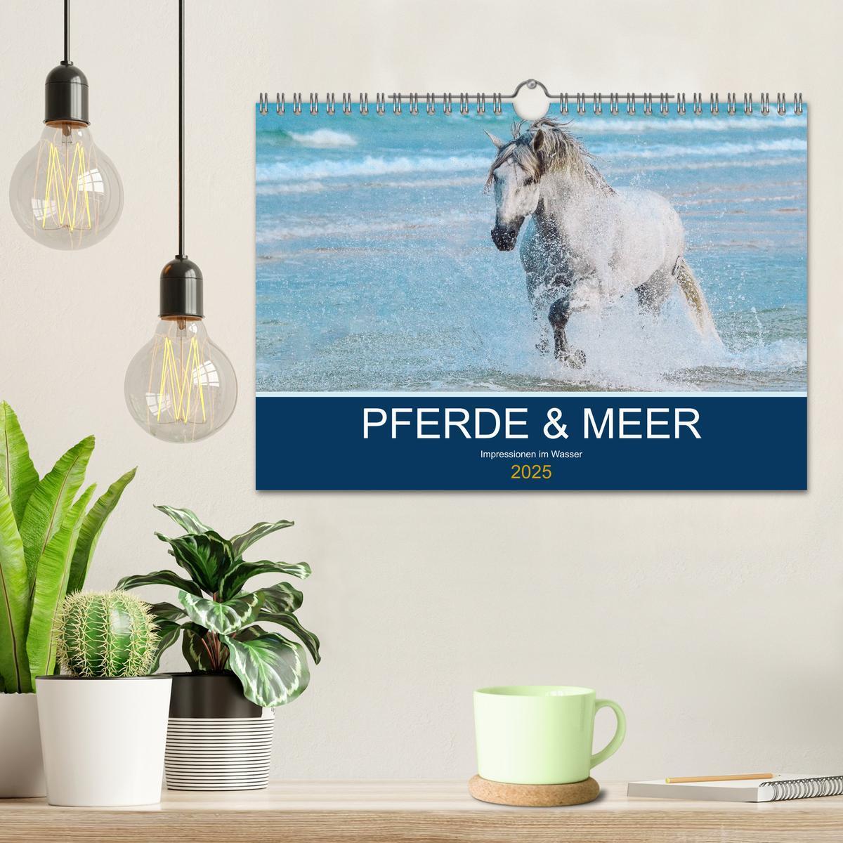 Bild: 9783435216062 | PFERDE &amp; MEER (Wandkalender 2025 DIN A4 quer), CALVENDO Monatskalender