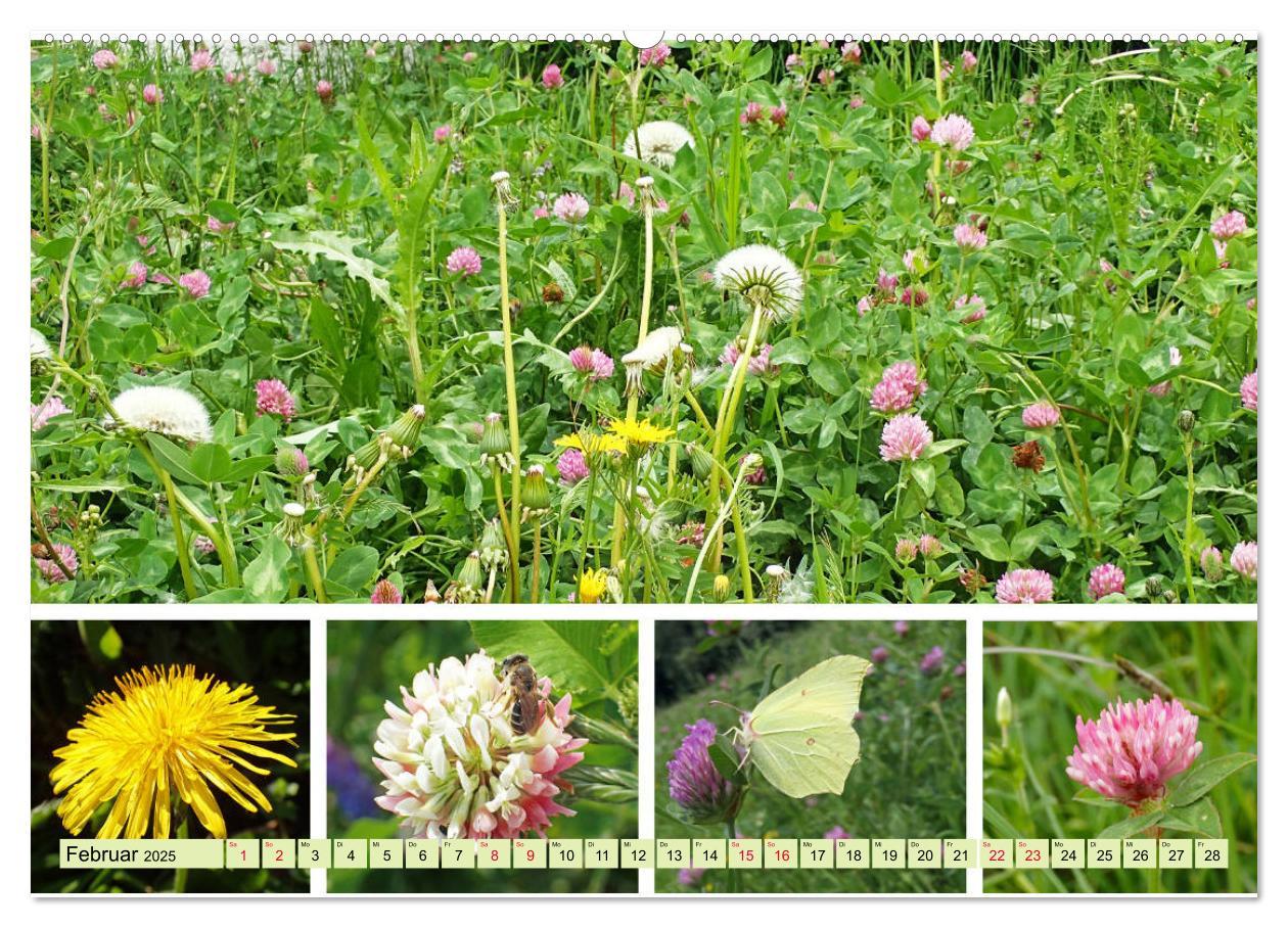 Bild: 9783435221189 | Blütenmeer am Wegesrand (Wandkalender 2025 DIN A2 quer), CALVENDO...