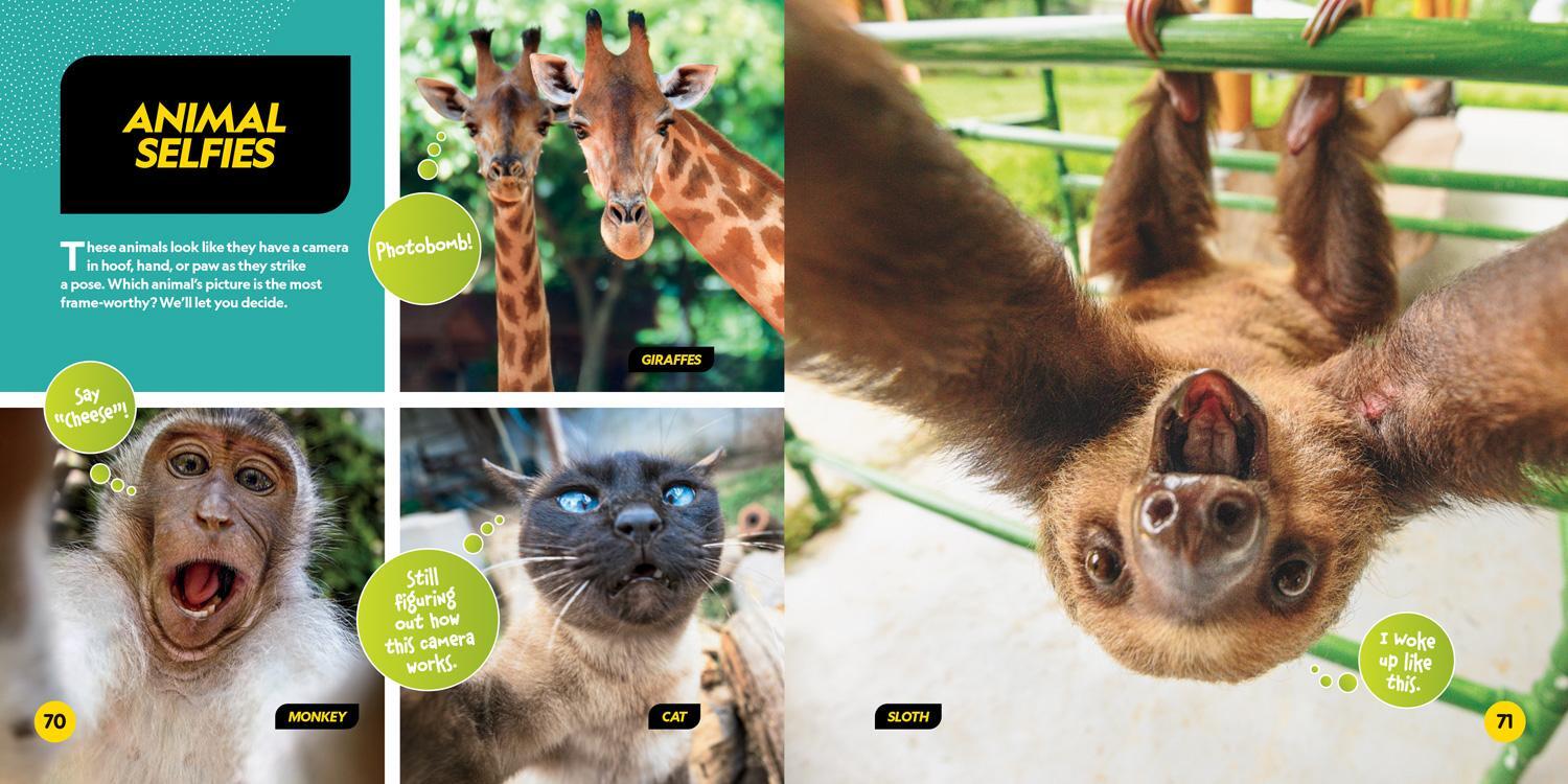 Bild: 9781426339219 | Cutest Animals on the Planet | National Geographic Kids | Taschenbuch