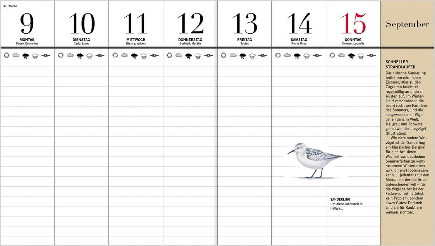 Bild: 9783784357737 | Der illustrierte Vogelkalender 2025 | Niklas Aronsson | Kalender