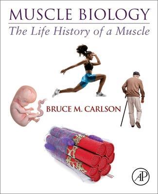 Cover: 9780128202784 | Muscle Biology | The Life History of a Muscle | Bruce M Carlson | Buch