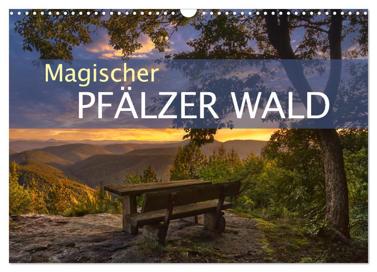 Cover: 9783675484986 | Magischer Pfälzer Wald (Wandkalender 2024 DIN A3 quer), CALVENDO...