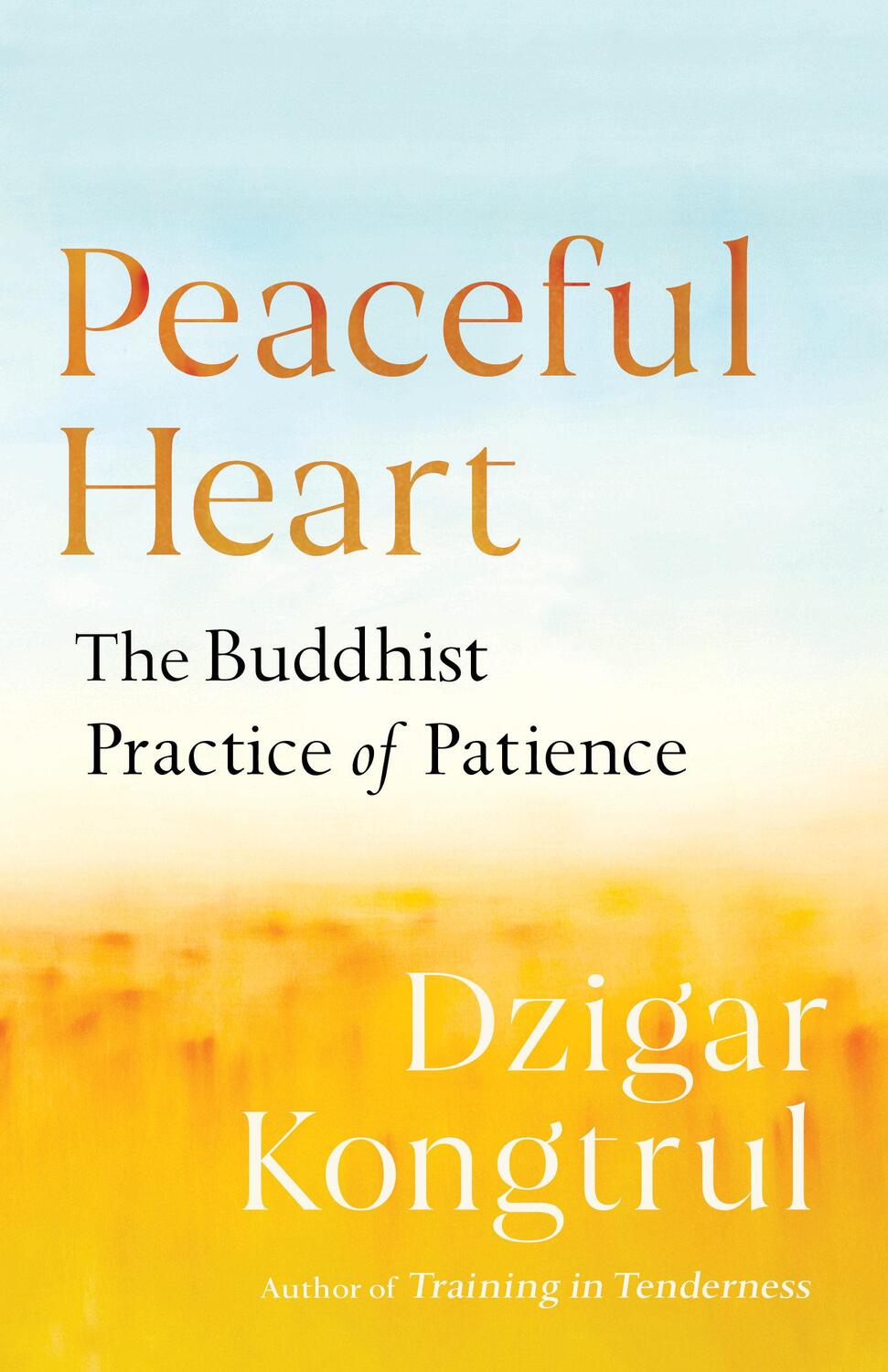 Cover: 9781611804645 | Peaceful Heart: The Buddhist Practice of Patience | Dzigar Kongtrul