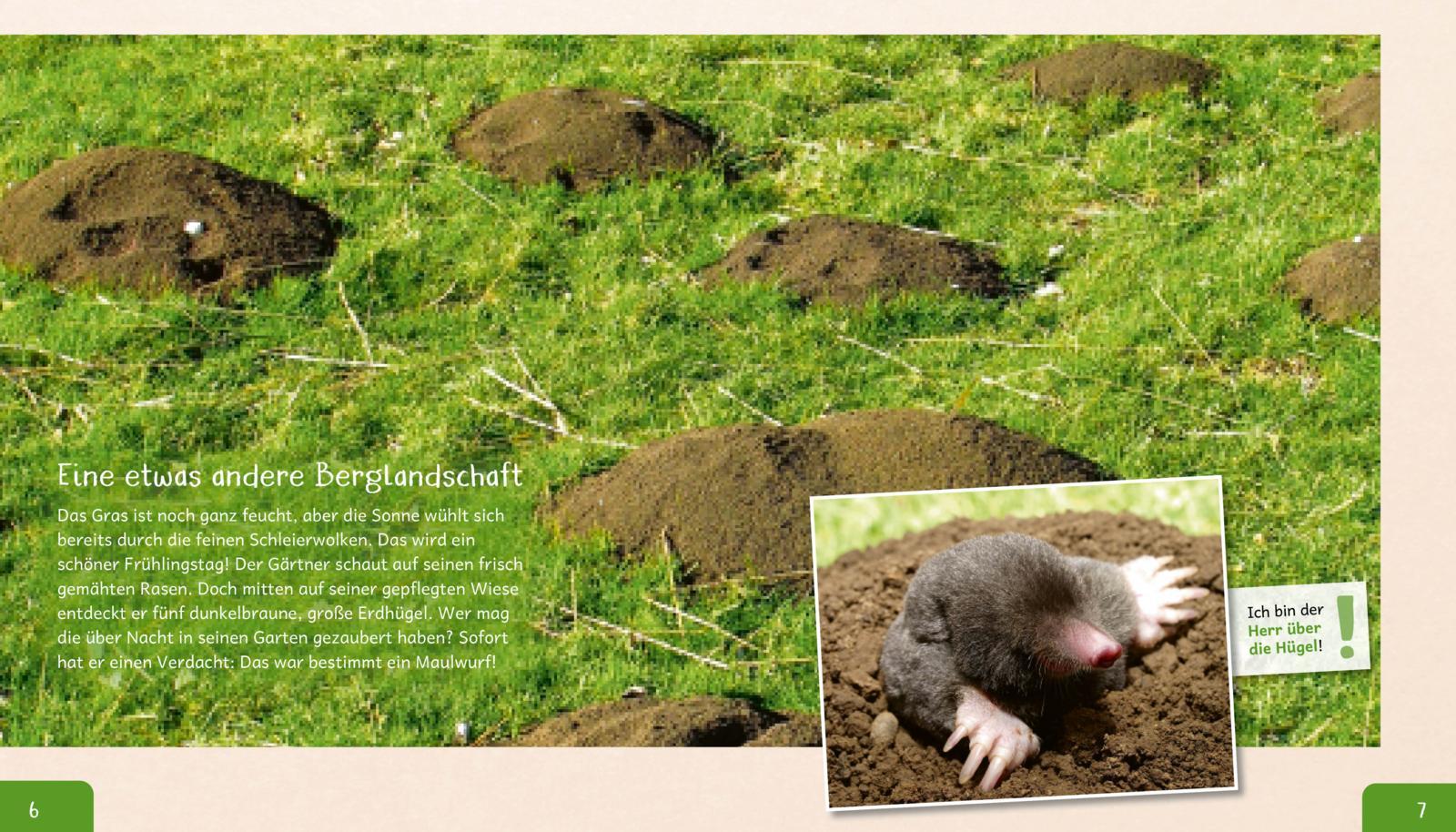 Bild: 9783480236572 | Meine große Tierbibliothek: Der Maulwurf | Jens Poschadel | Buch