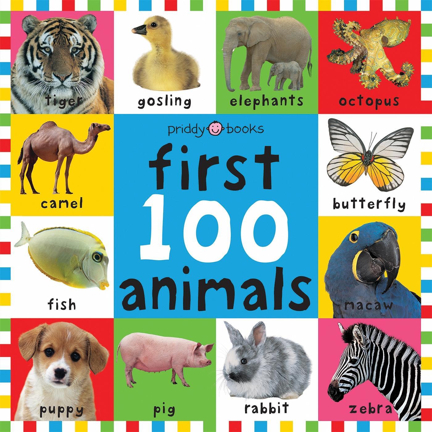 Cover: 9781843323440 | First 100 Animals | Roger Priddy | Buch | Gebunden | Englisch | 2006