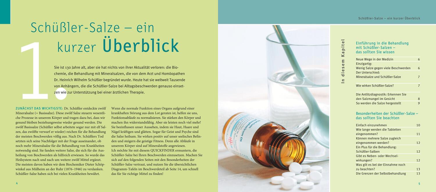 Bild: 9783833865138 | Schüßler-Salze, Quickfinder | Günther H. Heepen | Taschenbuch | 144 S.