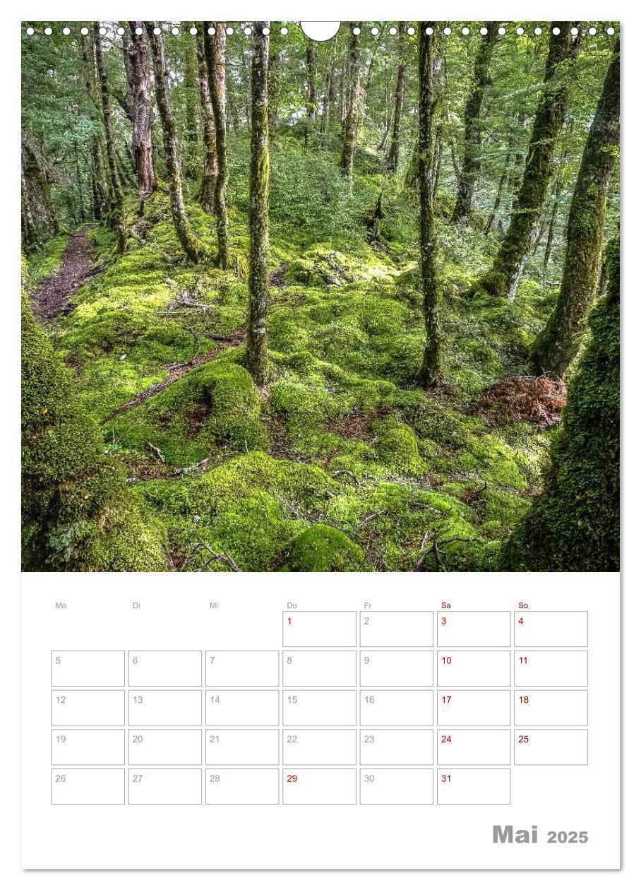 Bild: 9783435993871 | Kalenderplaner g'day Neuseeland 2025 (Wandkalender 2025 DIN A3...