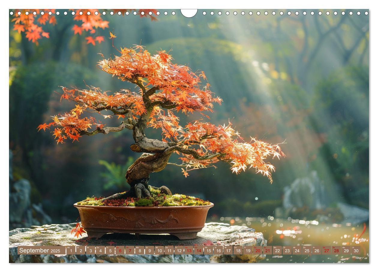 Bild: 9783383822254 | Bonsai meditativ (Wandkalender 2025 DIN A3 quer), CALVENDO...