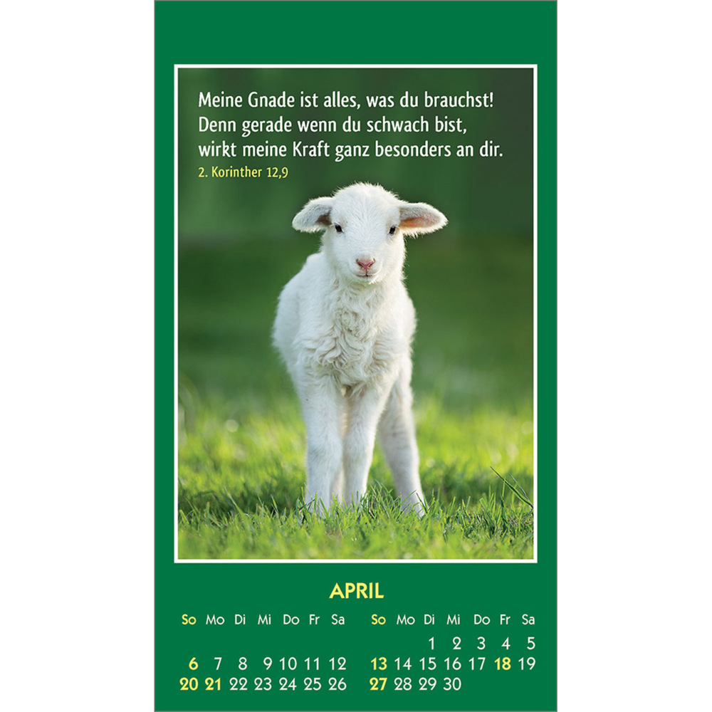 Bild: 9783754893555 | Hallo Du 2025 | Mini-Aufkleber-Kalender | Kalender | 14 S. | Deutsch