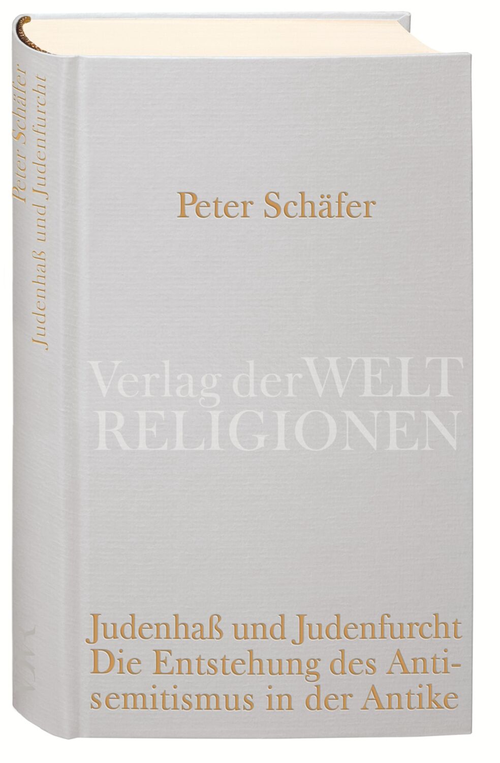 Cover: 9783458710288 | Judenhaß und Judenfurcht. Die Entstehung des Antisemitismus in der...
