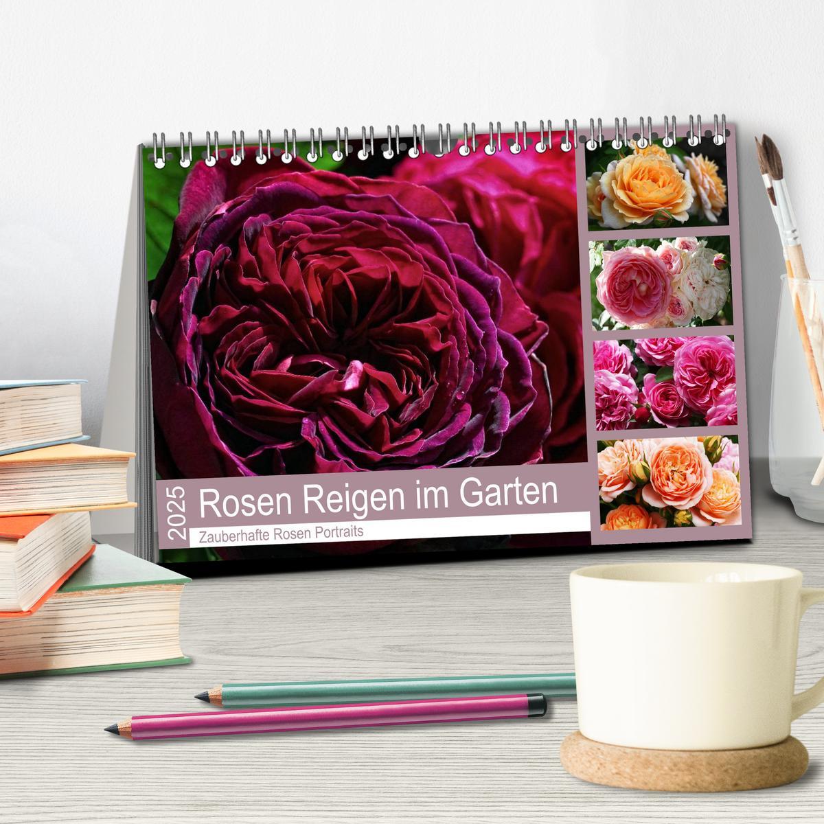 Bild: 9783435452309 | Rosen Reigen im Garten (Tischkalender 2025 DIN A5 quer), CALVENDO...