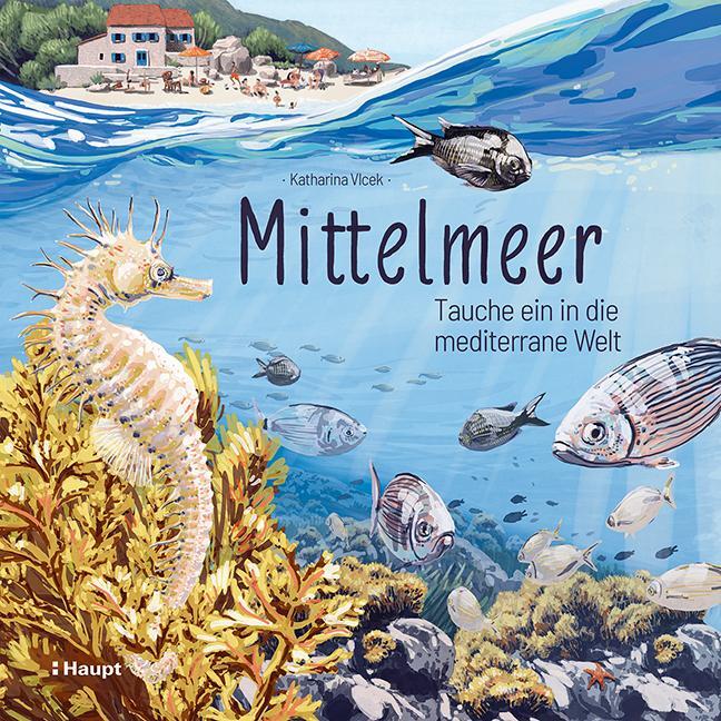Cover: 9783258083643 | Mittelmeer | Tauche ein in die mediterrane Welt | Katharina Vlcek