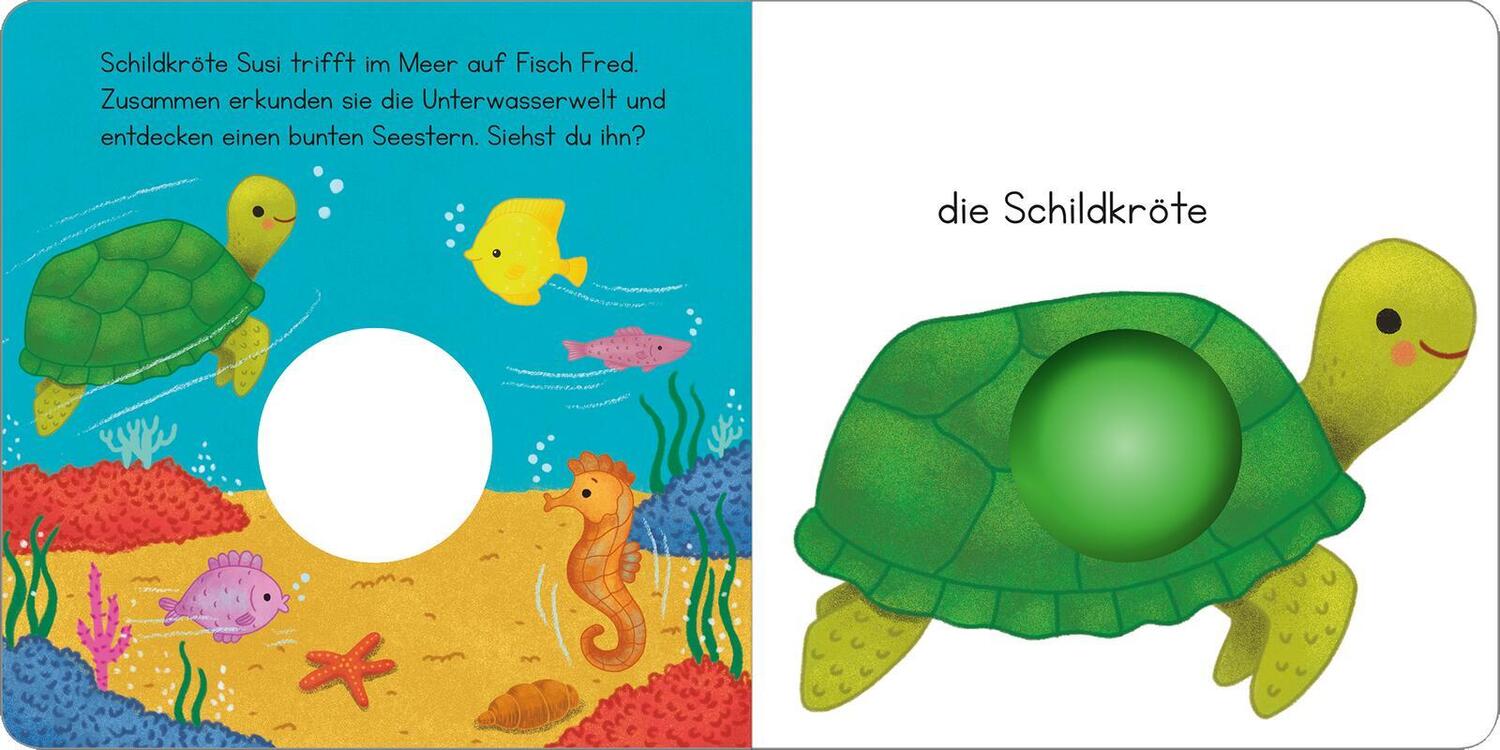 Bild: 9783845851310 | Mein erstes Pop-it-Buch - Frecher Frosch | Plopp! | Buch | 10 S.