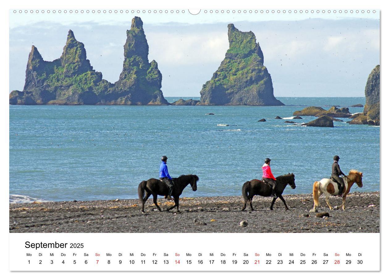 Bild: 9783435613274 | Die Pferde Islands - Ein Streifzug durch Island (Wandkalender 2025...