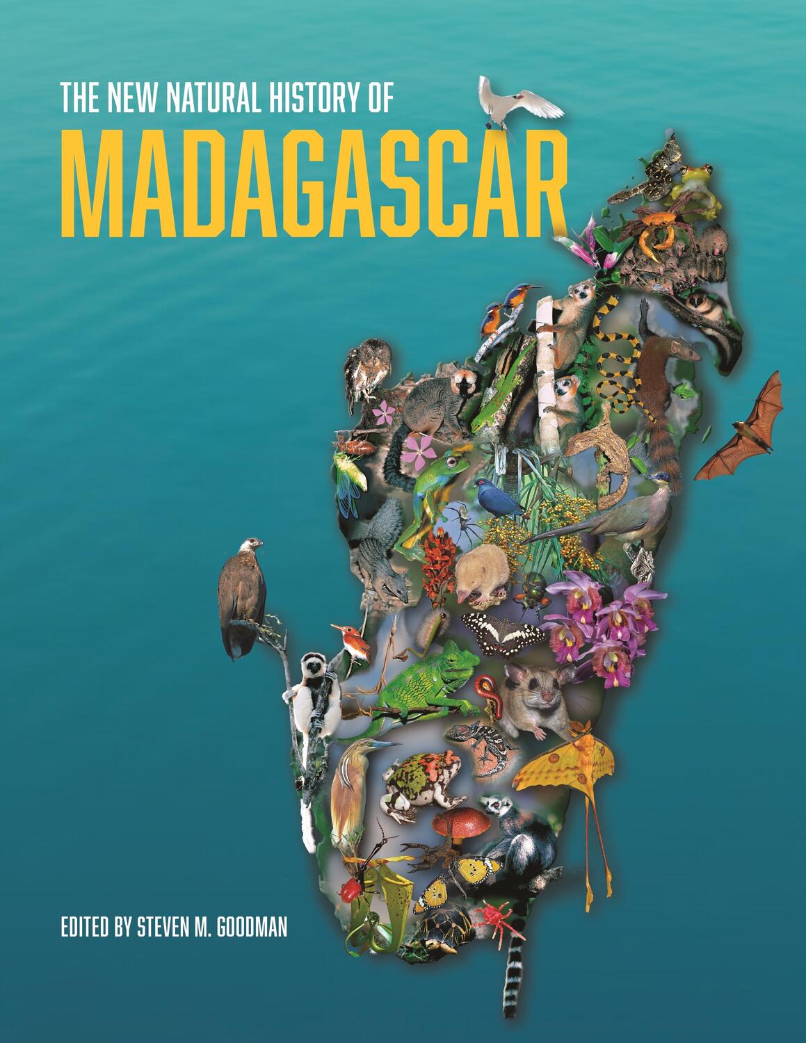 Cover: 9780691222622 | The New Natural History of Madagascar | Steven M. Goodman | Buch