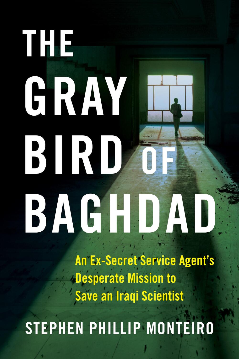 Bild: 9781684631513 | The Gray Bird of Baghdad | Stephen Phillip Monteiro | Taschenbuch