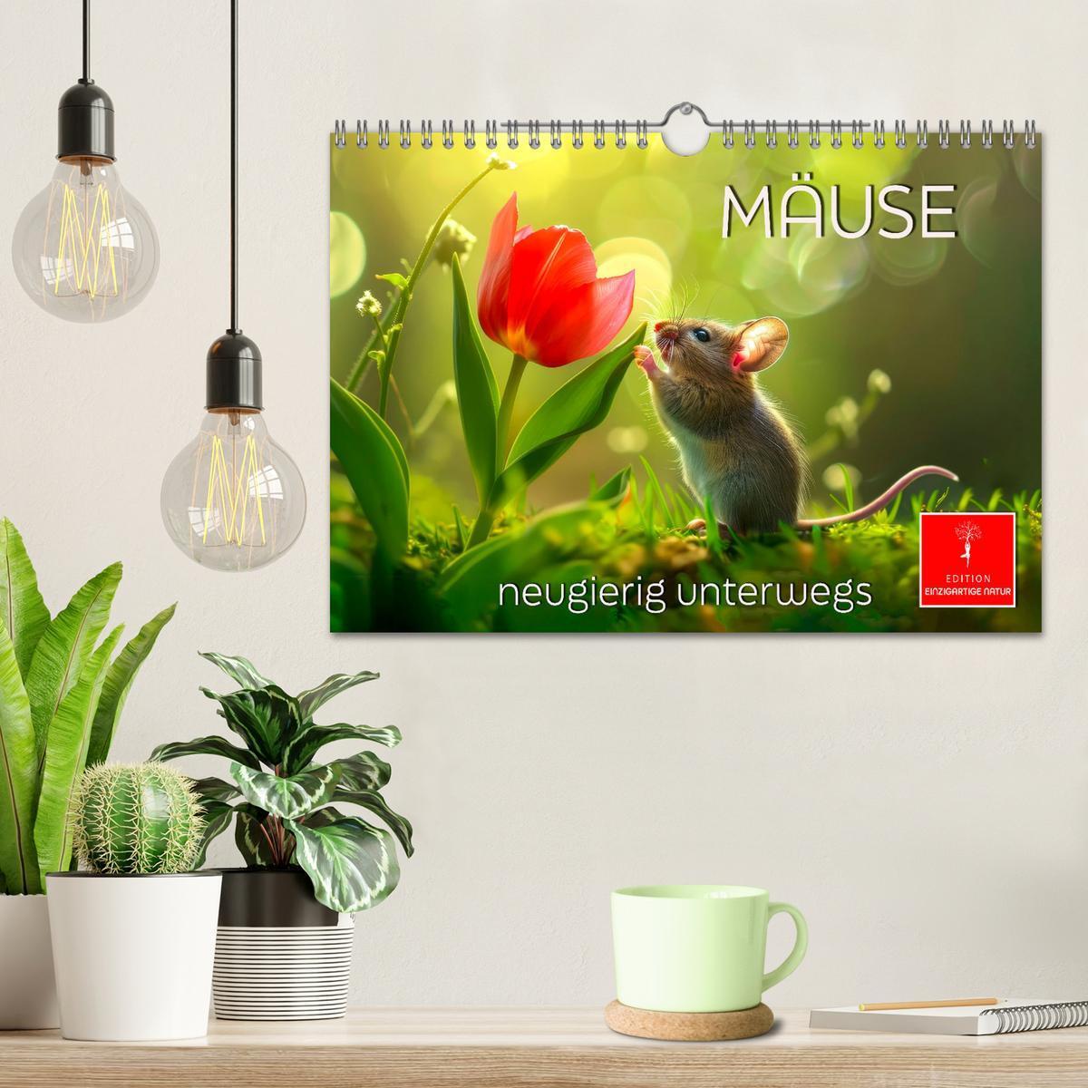 Bild: 9783383795749 | Mäuse - neugierig unterwegs (Wandkalender 2025 DIN A4 quer),...