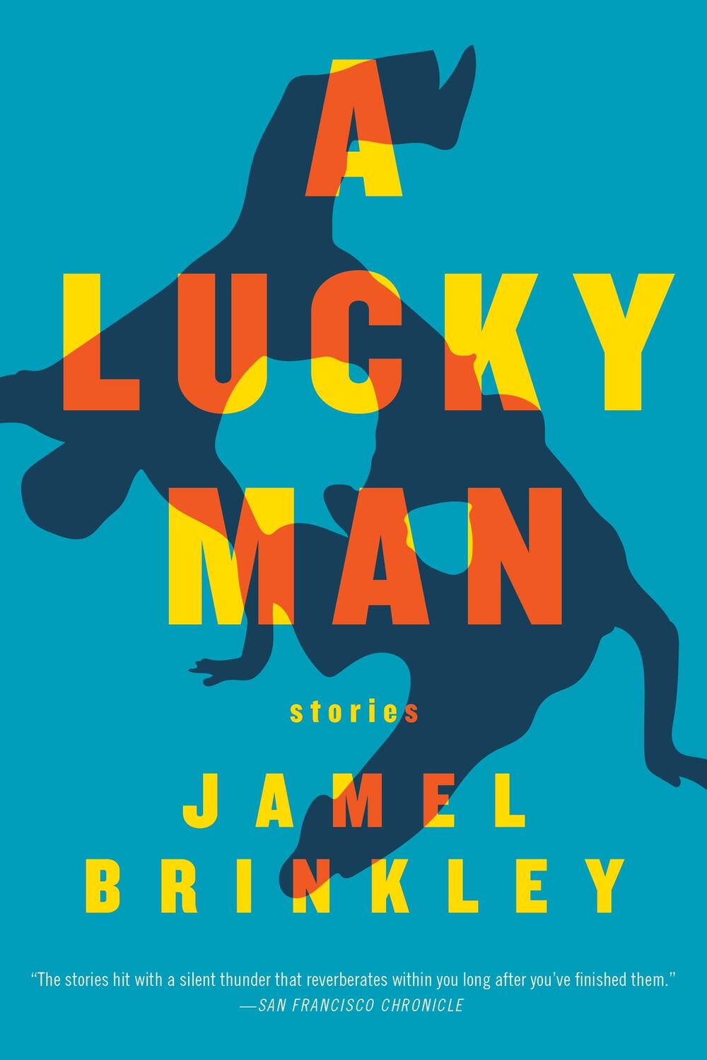 Cover: 9781555978433 | A Lucky Man | Stories | Jamel Brinkley | Taschenbuch | 264 S. | 2019