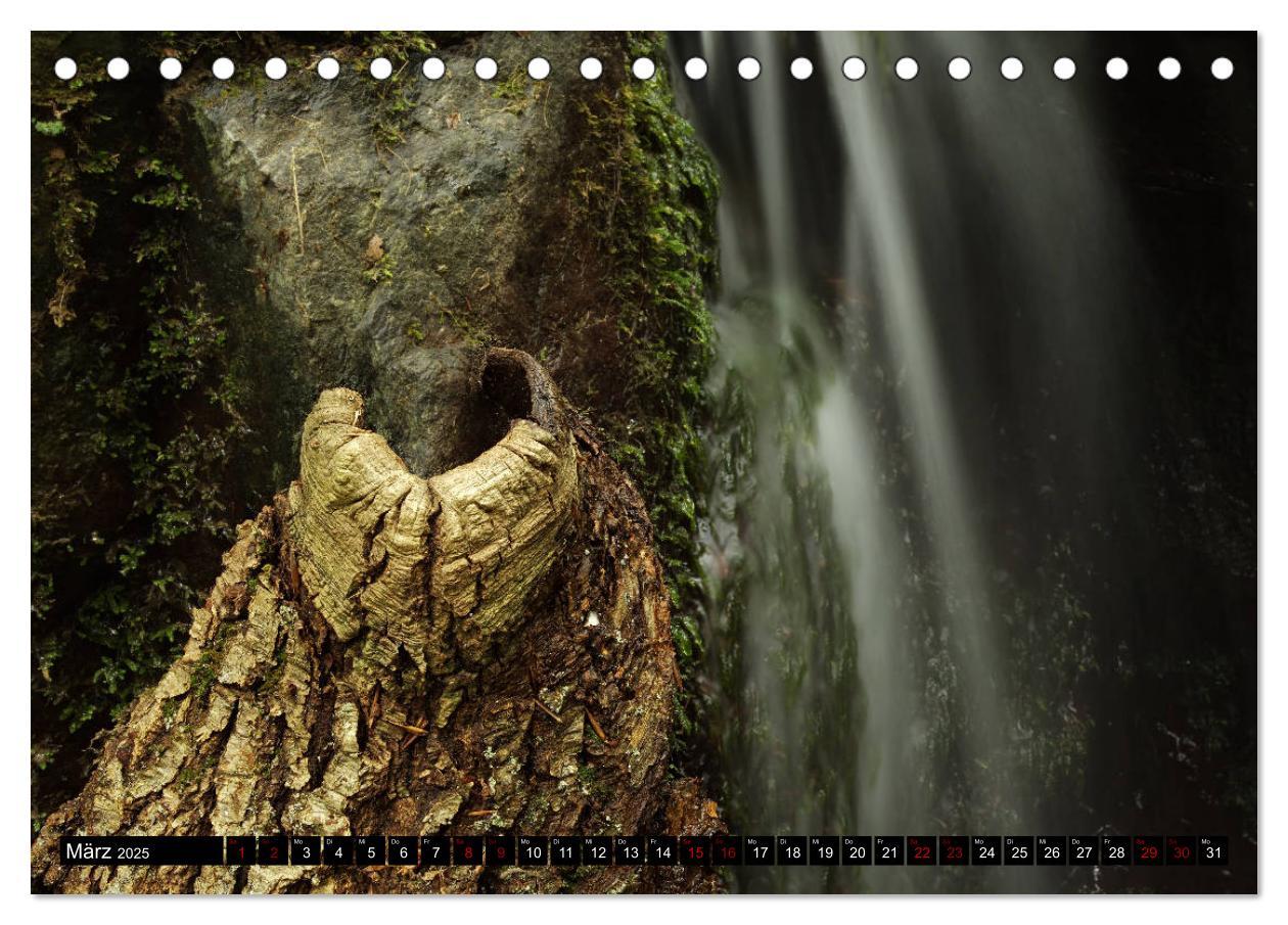 Bild: 9783435398720 | Landart - Kunst aus der Natur (Tischkalender 2025 DIN A5 quer),...