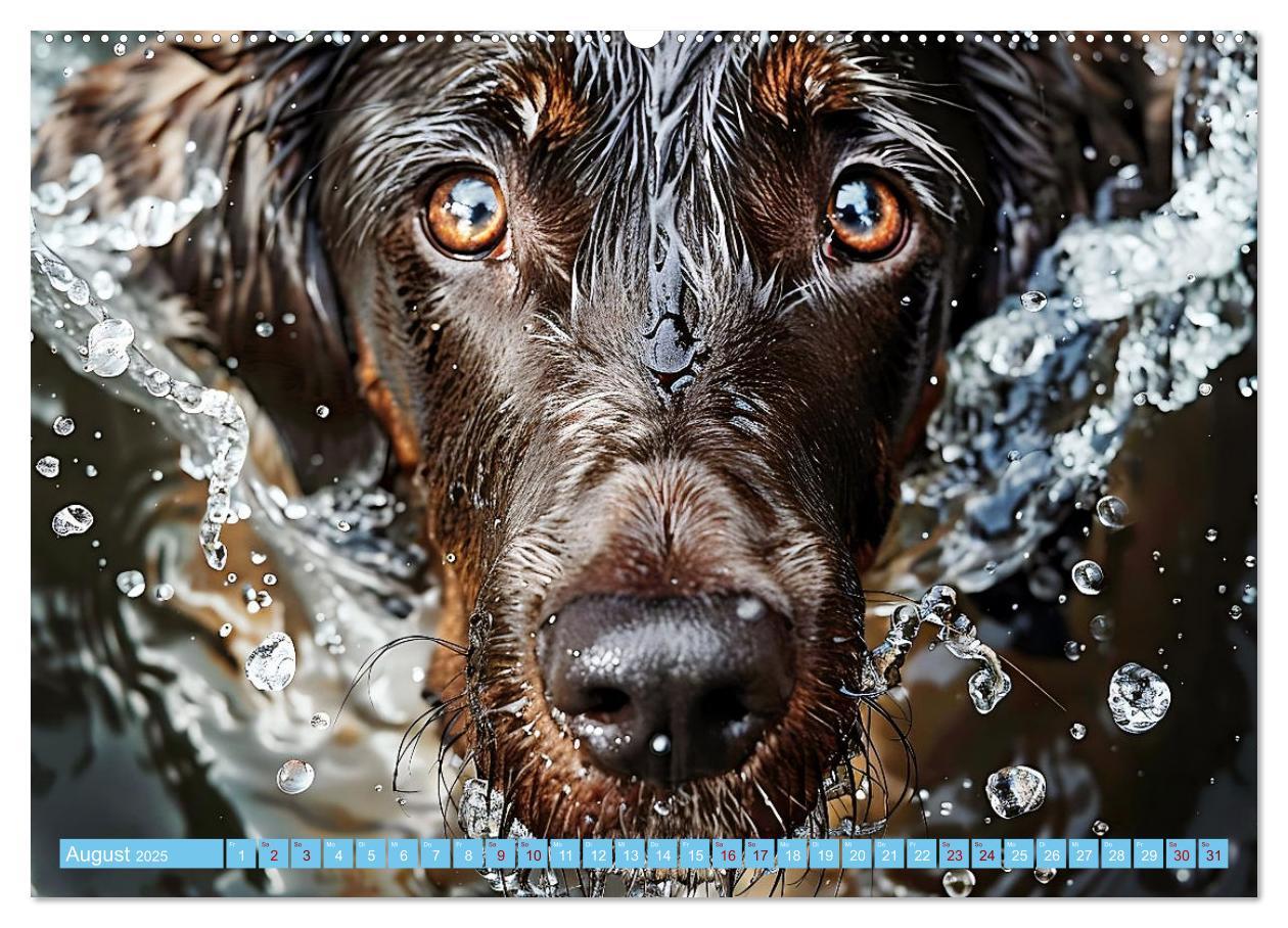 Bild: 9783457129241 | Hunde und Wasser (Wandkalender 2025 DIN A2 quer), CALVENDO...