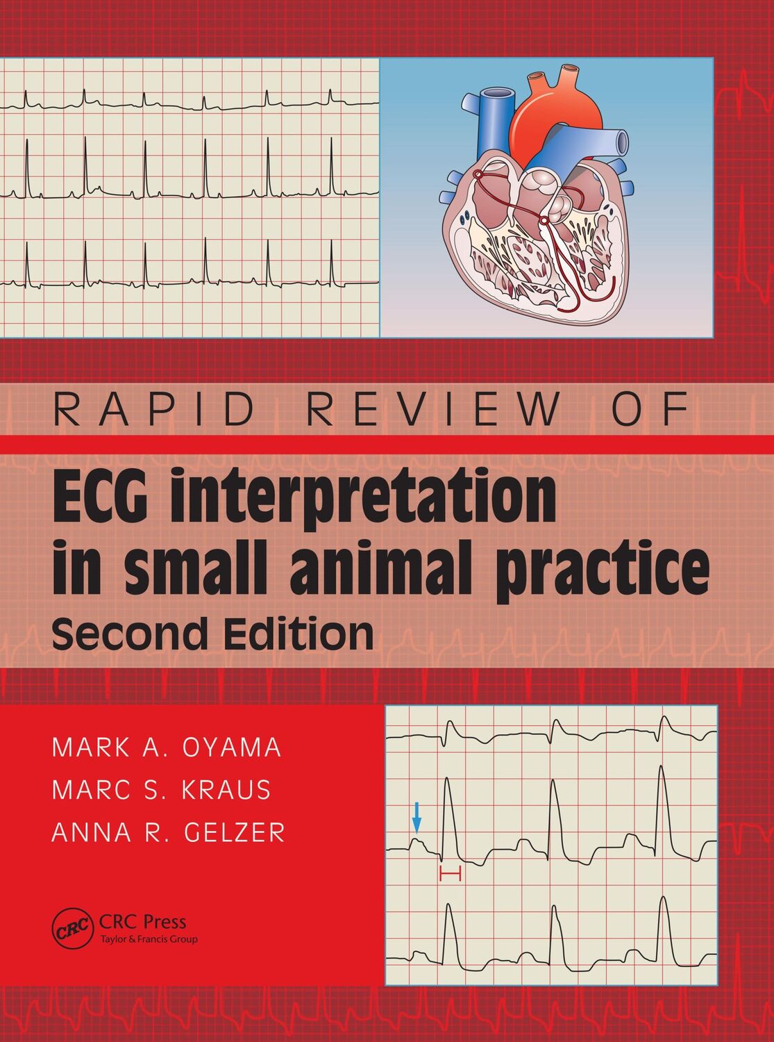 Cover: 9780367146757 | Rapid Review of ECG Interpretation in Small Animal Practice | Buch