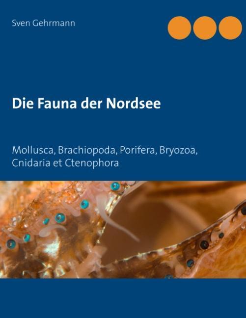 Cover: 9783748155898 | Die Fauna der Nordsee | Sven Gehrmann | Taschenbuch | Paperback | 2018