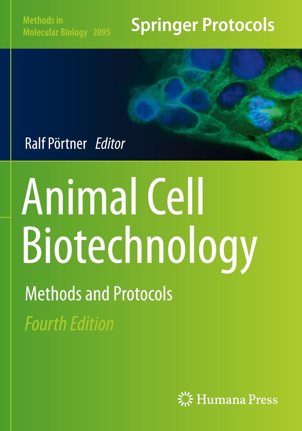 Cover: 9781071601938 | Animal Cell Biotechnology | Methods and Protocols | Ralf Pörtner | xiv