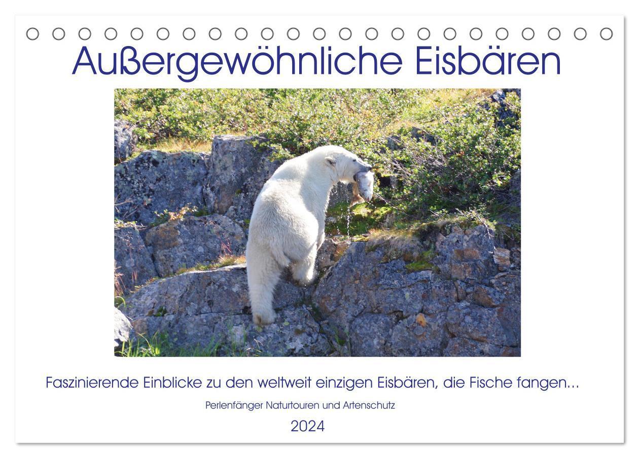 Cover: 9783383072222 | Das Leben der etwas "anderen" Eisbären! (Tischkalender 2024 DIN A5...