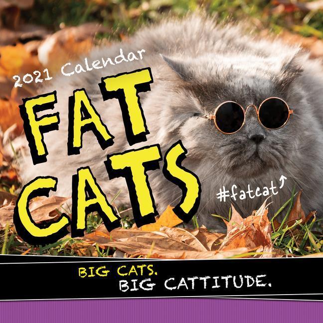 Cover: 9781728206479 | 2021 FAT CATS WALL CAL | Sourcebooks | Kalender | Englisch | 2020