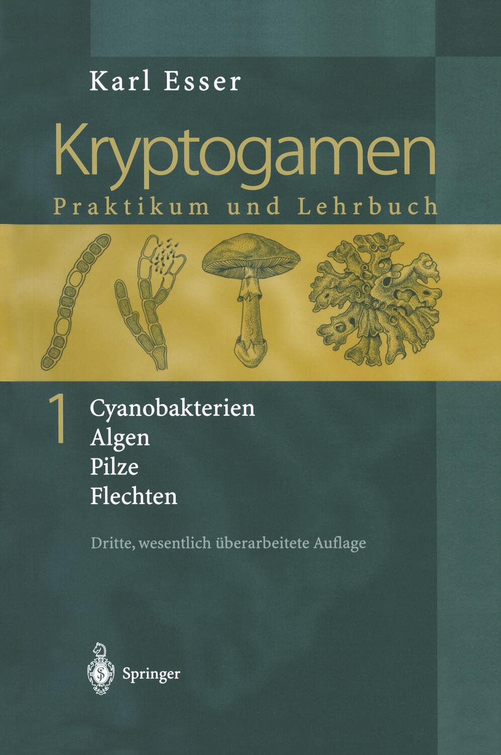 Cover: 9783540664512 | Kryptogamen 1 | Karl Esser | Buch | HC runder Rücken kaschiert | 2000