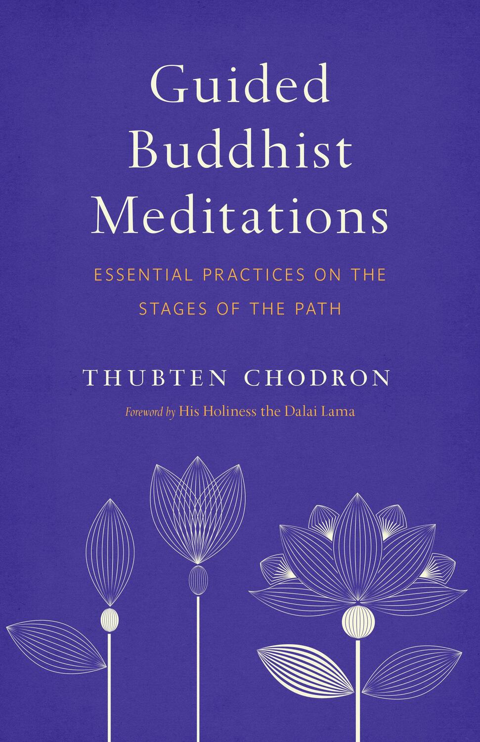 Cover: 9781611807301 | Guided Buddhist Meditations: Essential Practices on the Stages of...
