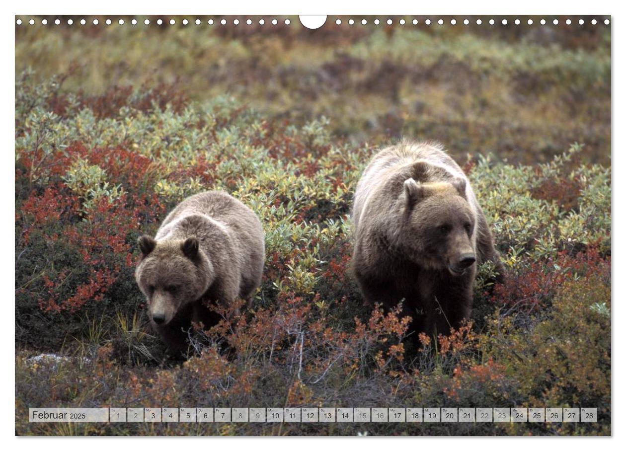 Bild: 9783435710515 | Wildes Alaska Christian Heeb (Wandkalender 2025 DIN A3 quer),...