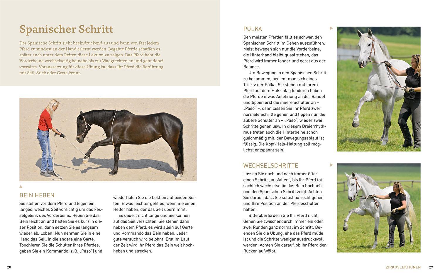 Bild: 9783440176481 | Zirkustricks mit Pferden | Sigrid Schöpe | Taschenbuch | 80 S. | 2024
