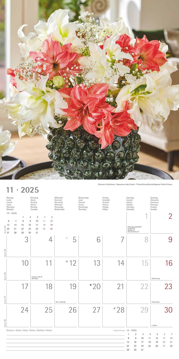 Bild: 4251732340612 | Blumen 2025 - Broschürenkalender 30x30 cm (30x60 geöffnet) -...