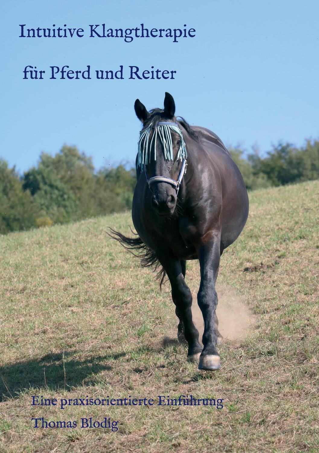 Cover: 9783743928930 | Intuitive Klangtherapie für Pferd und Reiter | Thomas Blodig | Buch