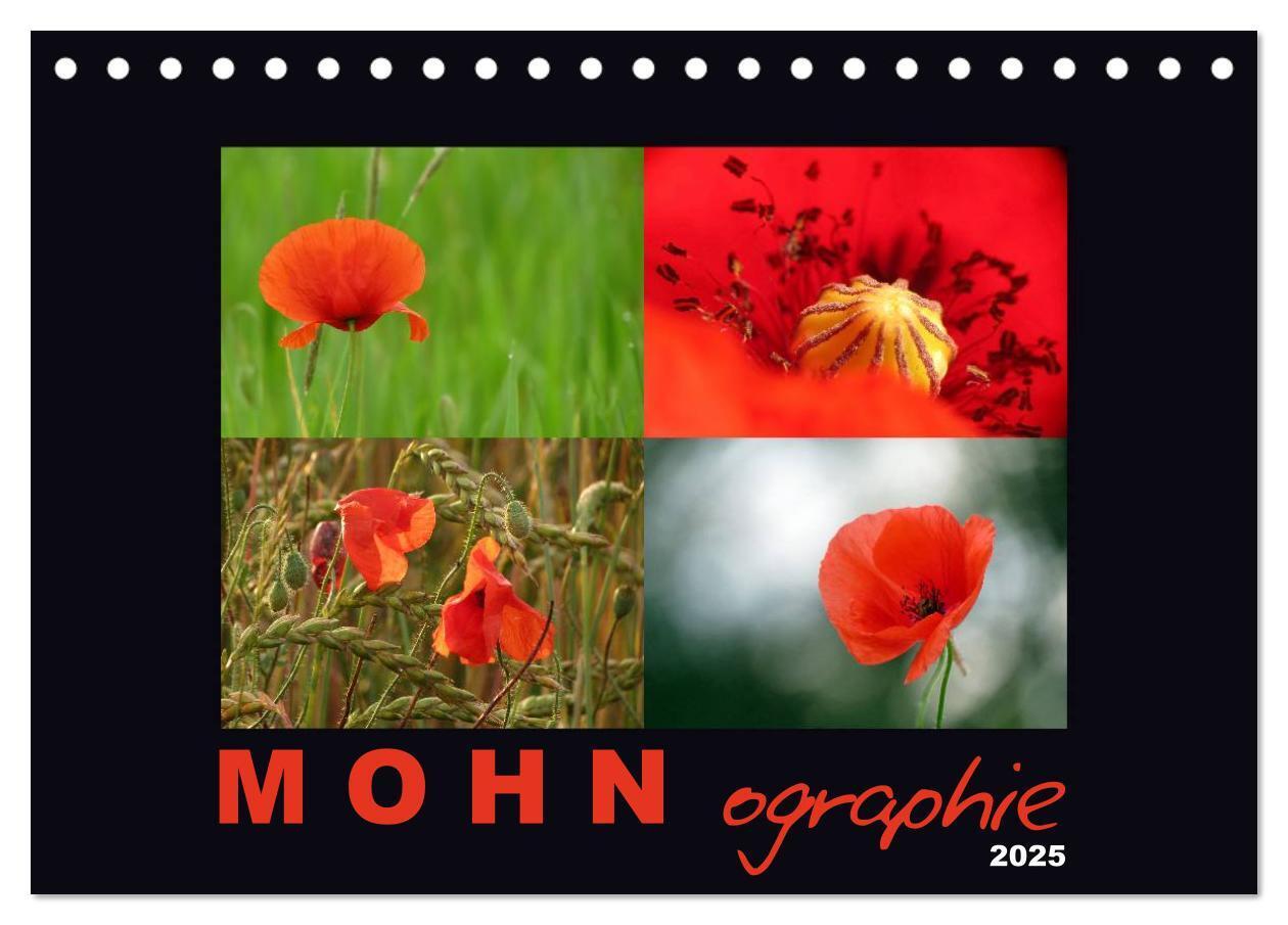 Cover: 9783435682515 | MOHNographie (Tischkalender 2025 DIN A5 quer), CALVENDO Monatskalender