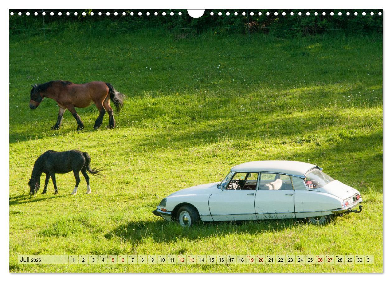 Bild: 9783435010752 | Französische Klassiker - 2CV und D Modell Oldtimer (Wandkalender...