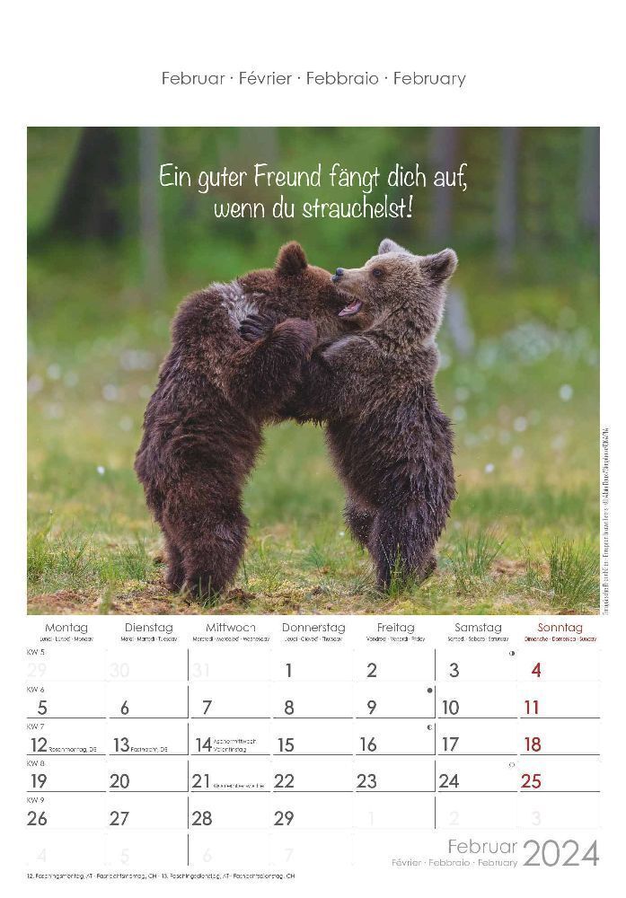 Bild: 4251732334802 | Kleine Freunde 2024 - Bildkalender 23,7x34 cm - Kalender mit Platz...