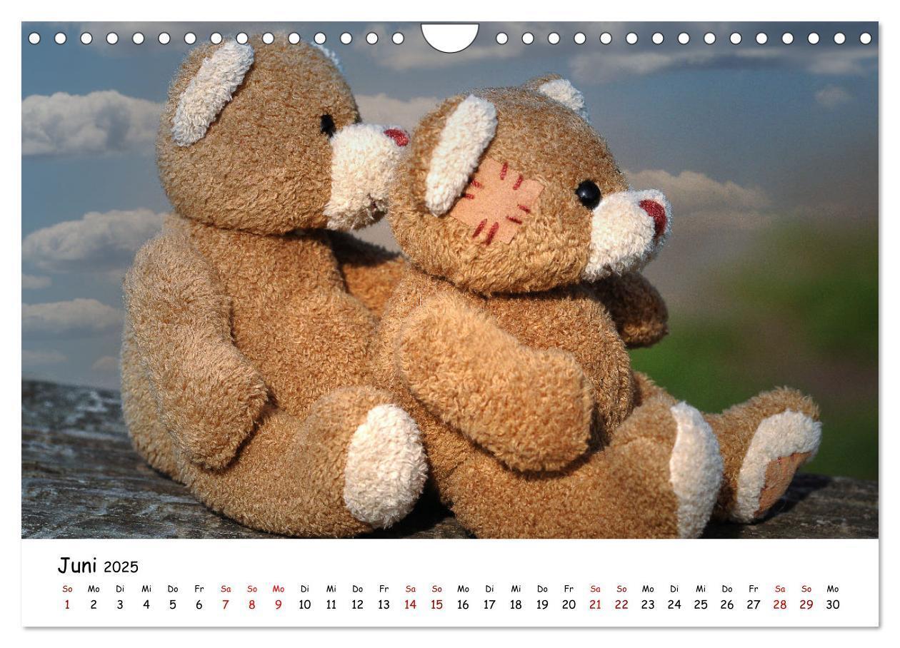 Bild: 9783383964954 | Allerliebste Teddybären (Wandkalender 2025 DIN A4 quer), CALVENDO...