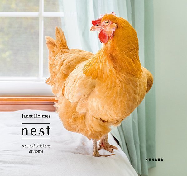 Cover: 9783868289879 | Janet Holmes | Nest. Rescued Chickens at Home | Janet Holmes | Buch