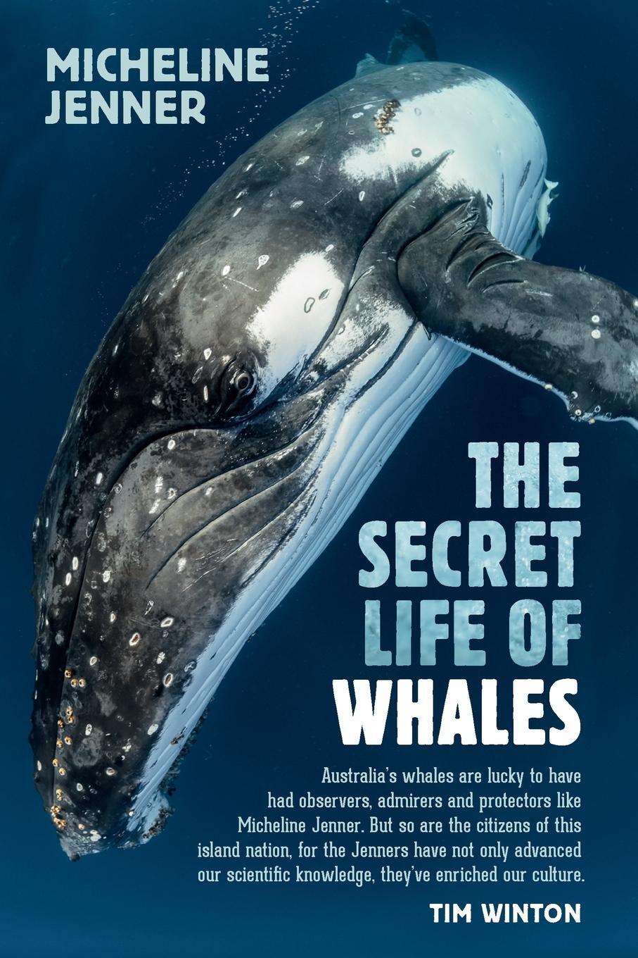 Cover: 9781742235547 | The Secret Life of Whales | Micheline Jenner | Taschenbuch | Paperback