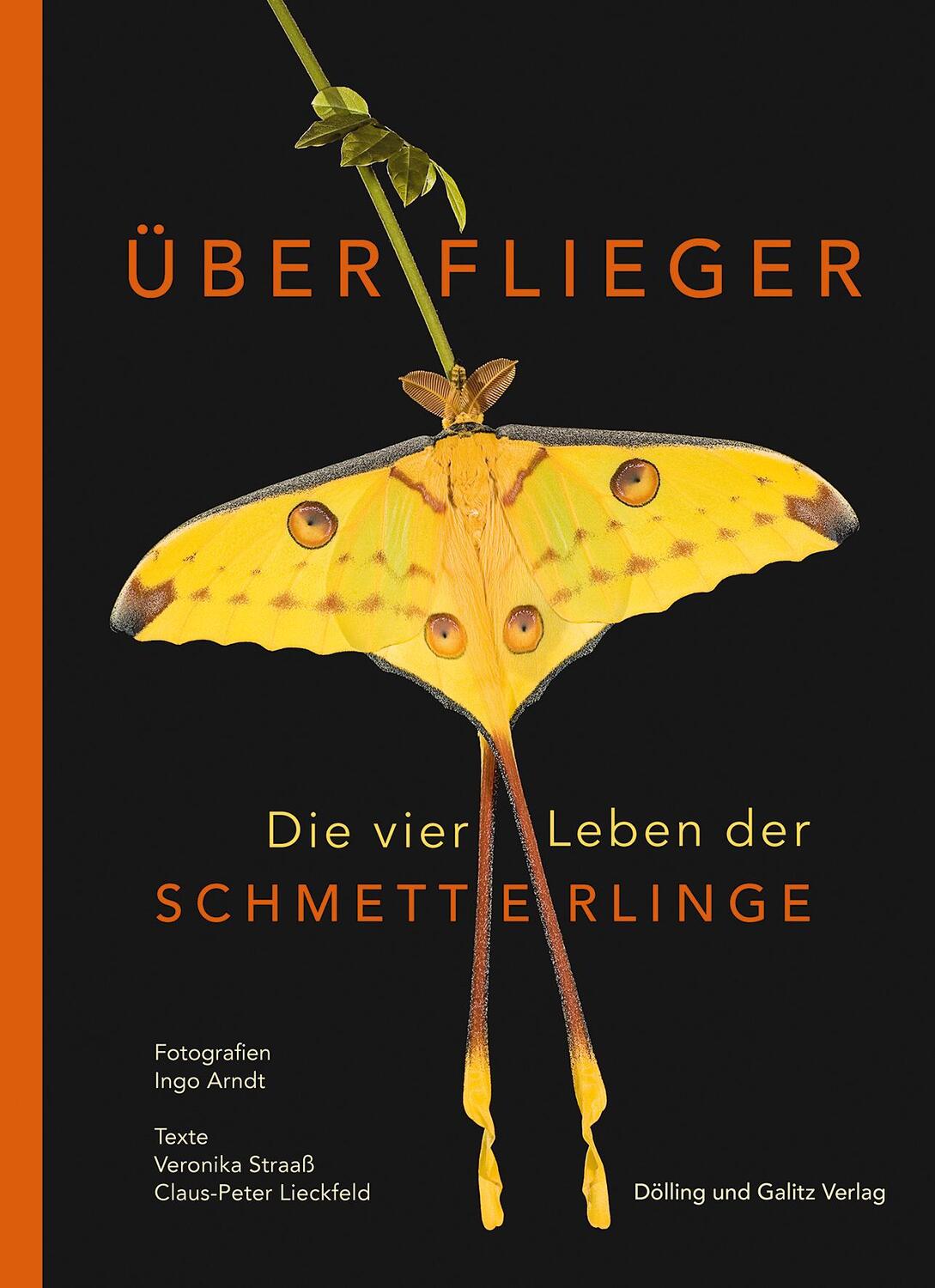 Cover: 9783862181506 | Überflieger. Die vier Leben der Schmetterlinge | Straaß (u. a.) | Buch