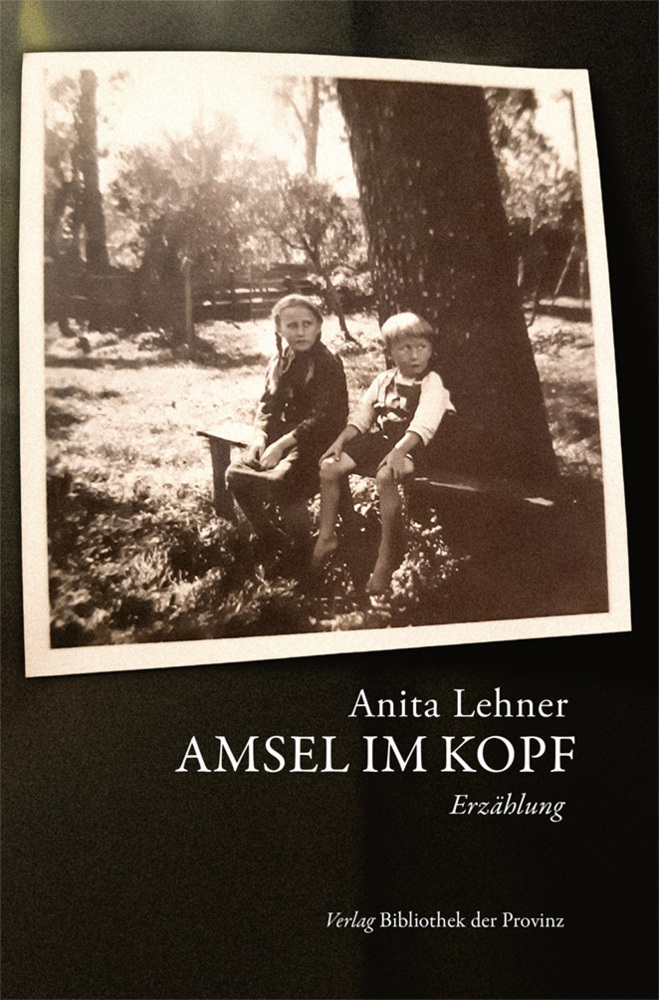 Cover: 9783991261001 | Amsel im Kopf | Erzählung | Anita Lehner | Buch | Deutsch | 2022