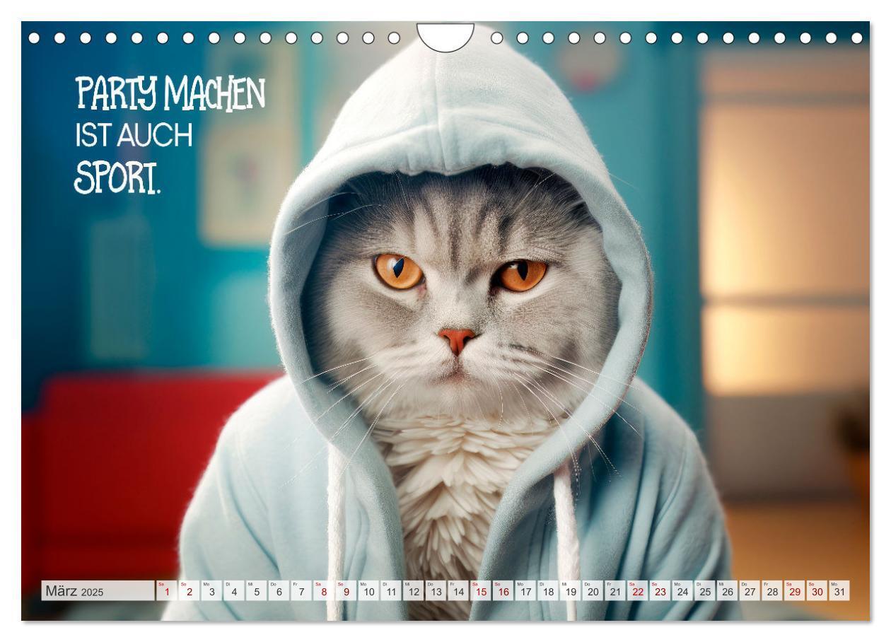 Bild: 9783383771910 | KATZEN-IRONIE Lach mal wieder (Wandkalender 2025 DIN A4 quer),...