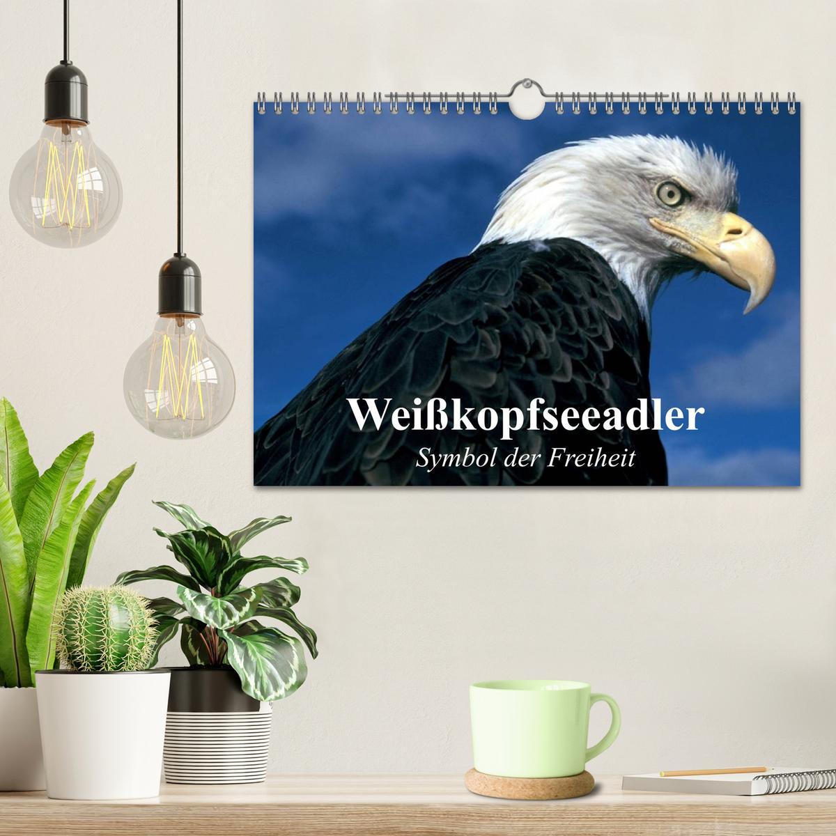 Bild: 9783435518135 | Weißkopfseeadler. Symbol der Freiheit (Wandkalender 2025 DIN A4...